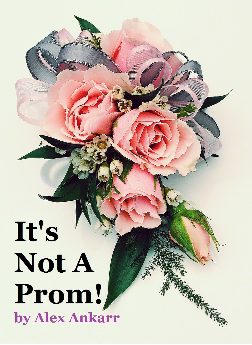 it's not a prom IMAGE d2d